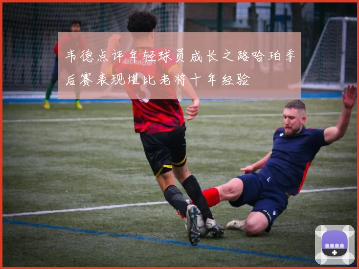 韦德点评年轻球员成长之路哈珀季后赛表现堪比老将十年经验